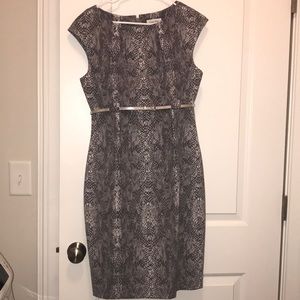 Calvin Klein Gray/White Snake Print Dress Size 6